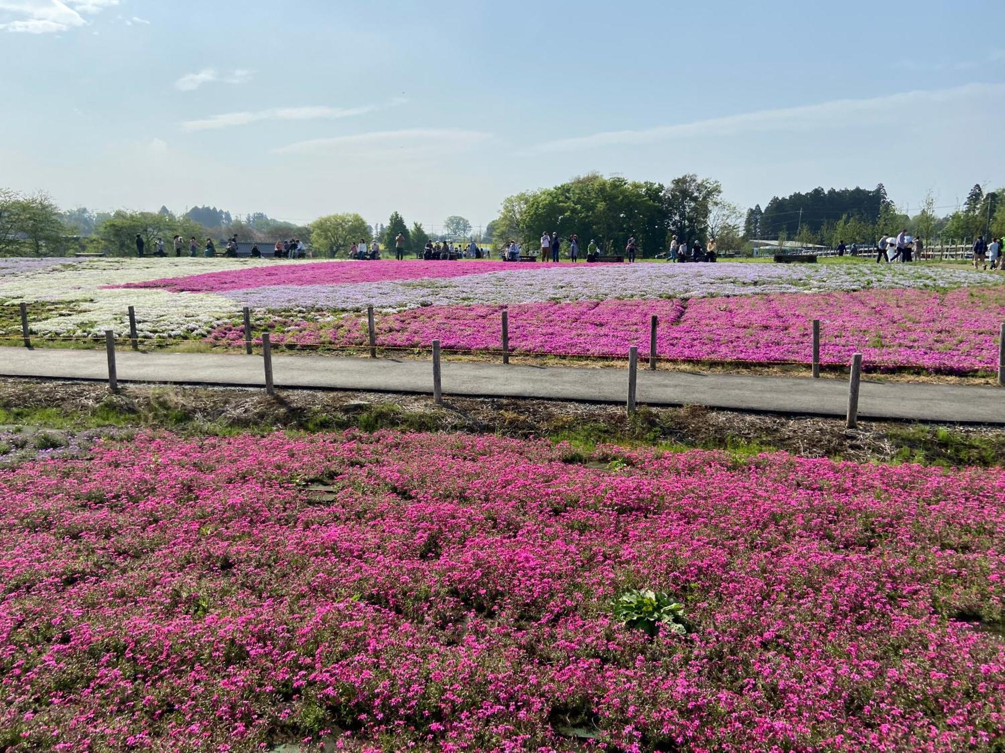 Vessel Inn Keisei Tsudanuma Station Narashino Esterno foto